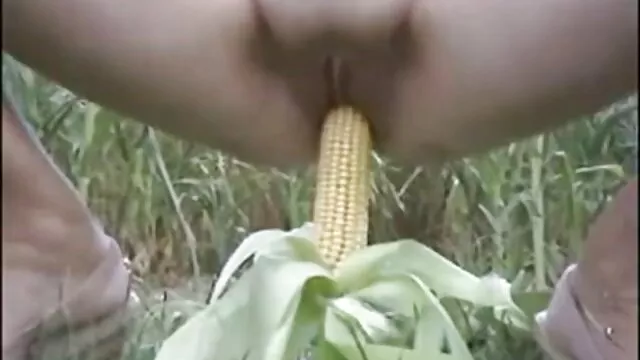 ذيل ثور على السرير مع كلب مرنة في مختلف المواقف افلام سكسيه اجنبيه افلام سكسيه اجنبيه افلام سكسيه اجنبيه